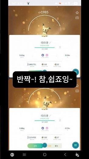 포켓몬고 따라큐 깡교환 반짝 확률 무엇?