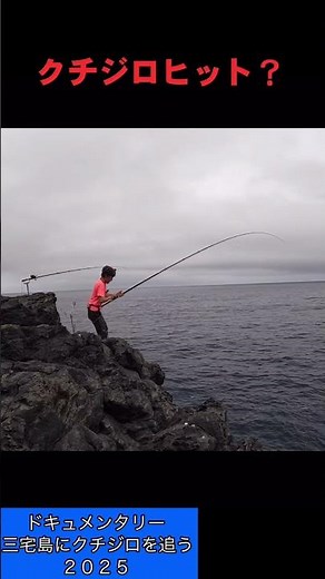 A white-lipped whiting caught! Its mouth is white! / Chasing white-lipped whiting on Miyakejima I...