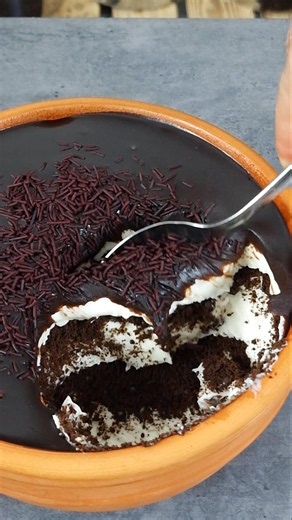 Better Than Cake! Easy & Fast No Bake Chocolate Dessert!