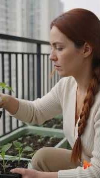 Creating a balcony garden filled with fresh vegetables #vegetables #balconygarden #gardening