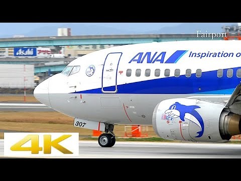 [4k] [飛行機動画] ANA 737-500 スーパードルフィン
