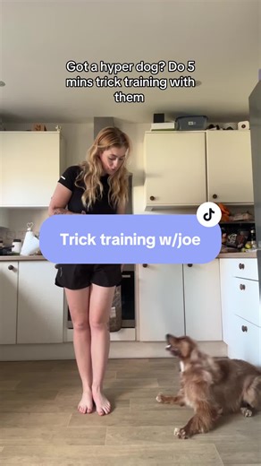 Lily | Best Barking Behaviour on TikTok
