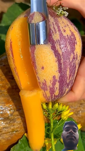 China's most unique grapes 小#shors #fruit #nature