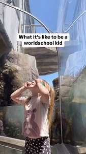 71 reactions | A few things not pictured: Typing Spanish 4th grade...