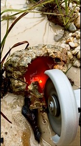 Woww... Great AI!!! Cutting a stone turns out the inside is red carnelian stone #stone #cutting #carnelian #great #AI | The GemsHunter