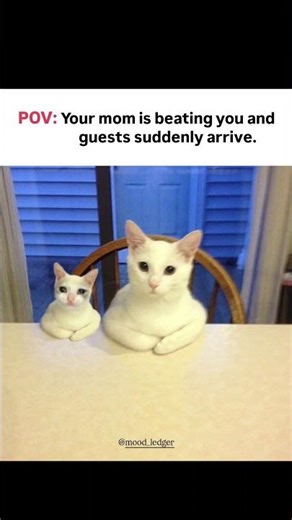 Acting skills 100%… dard 0% 😭😂. Subscribe for more memes💗.!!! #memes #shorts #relatableaf #behonest