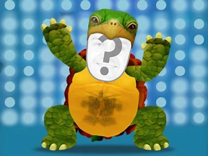 Disco Dancing Turtle