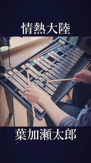 情熱大陸(鉄琴) / 葉加瀬太郎 #shorts #弾いてみた #鉄琴 #情熱大陸