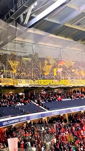 BVB fans away in Lille 👏 | Ultras Clips