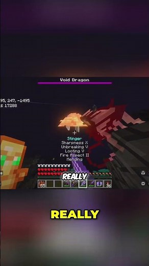Epic Minecraft Void Dragon Boss Fight! 🐉⚔️ #minecraft #gaming #bossfight