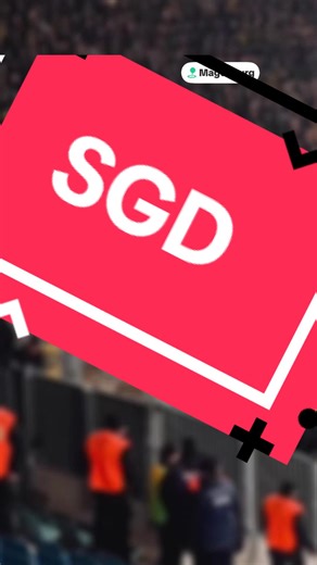 Dynamo Dresden Hooligans Insight: Understanding the Culture