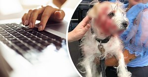 4 Tips for Spotting and Avoiding Common Scams