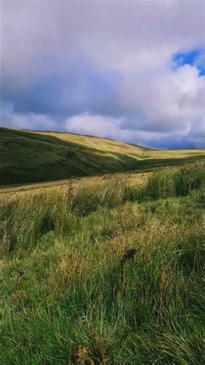 #penyfan #wales #hiking #adventure #greenary #shorts