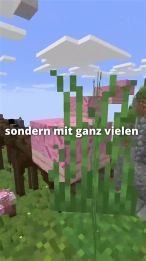 Habt ihr Ideen für den One Block modus?