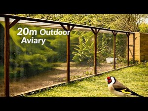20m (65ft) Aviary Tour & Breeding Update | Finches, Canaries & Gouldians