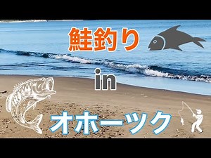【鮭釣り】北海道オホーツク 2023