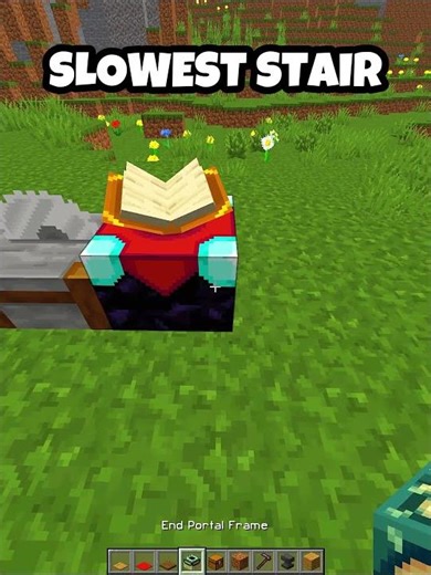 SLOWEST STAIR 🪜🦥 #minecraft #shorts