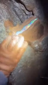 Insane Full-Color Opal Fresh From the Rock!” #opal #opalstone #rawopal #opalmining #opalhunter #opalfire #gemstone #gemlover #gemcommunity #mininglife #opalrough #rareopal #naturalopal #gemstonesoftiktok #reelsviral #fyp #explorepage | Muhammad Krista