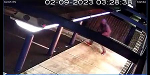 MFD investigating fourth tax business arson fire in Feb.