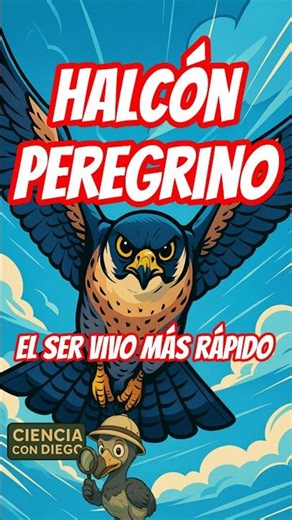Peregrine falcon. The fastest living creature. #biology #science #didyouknow
