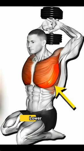 Lower Chest Workout | Best Exercises to Build a Bigger, Stronger, and More Defined Chest With Dumbbells, Barbells, and Bodyweight. #lowerchestworkout #bestbicepworkoutnoequipment #gym #Gymfb #gymtips #gymtime #liftlegendgym | LiftLegend Gym