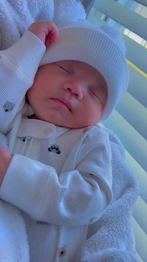 Ternura de Bebés Adorables en Videos Divertidos