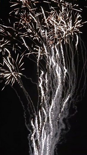 150 Shots of Wolf Howling Fireworks