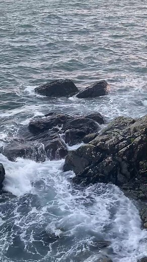 by the sea ♫⋆｡♪ ₊˚♬ ﾟ #cornwall | Walking Cornwall