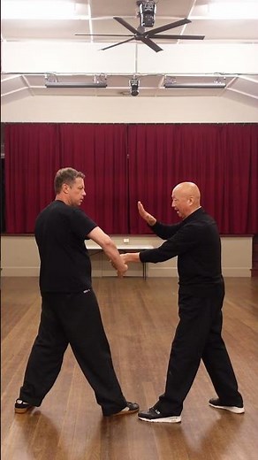 Praying Mantis Chin Na Wrist Lock & Arm Control Counter Defense螳螂拳擒拿术：化解推胸攻击的锁腕控臂实战技巧 #kungfu#擒拿