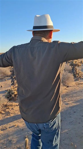 Cada dia que amanece es una nueva oportunidad. No importa lo que paso ayer,hoy puedes volver a intentarlo y brillar con mas fuerza #シ゚viralシ #fypviralシ #paratiiiiiiiiiiiiiiiiiiiiiiiiiiiiiii #desierto #arboles | Ciudadano Comprometido