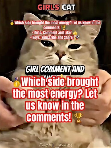 Girls Cat 🎀 vs. Boys Cat 🕶️ | Who Won?