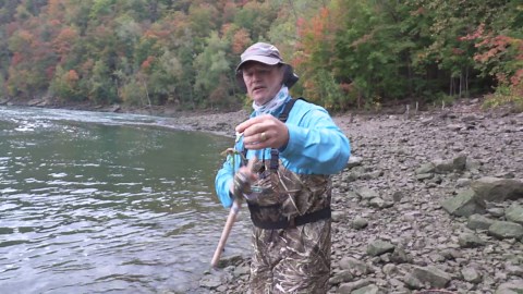 Big salmon on the shoreline - Shore fishing