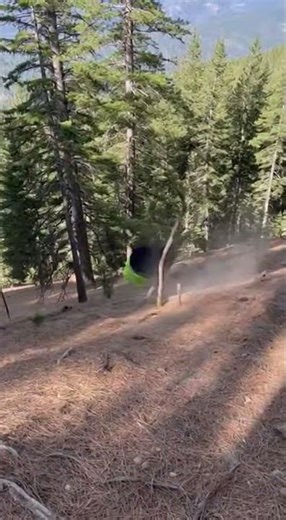 She tripped. That's it. That's the whole video. 🤷‍♀️😂 #Funny #Fail #Shorts