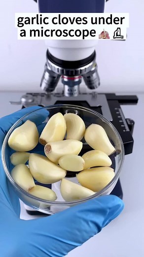 Did you know what it is looks like when it's magnified 400 times? #undermicroscope #microscope #fyp #reelsviralシ #reelsvideo | Micromagic6