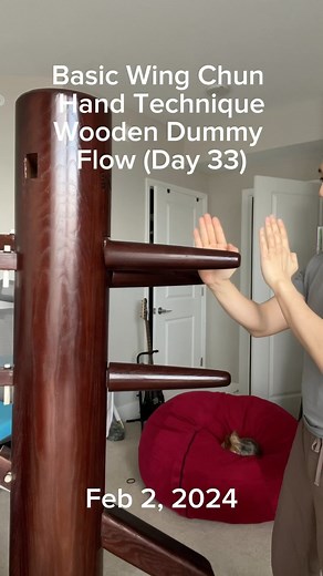 3.3K views · 38 reactions | Important Flow Drill  Below Basic Wing...