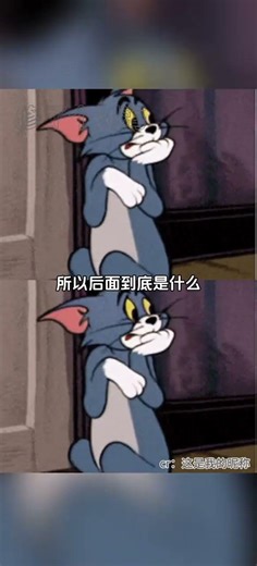 Unbelievable Animal Transformation in Photography World