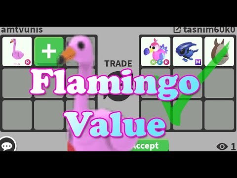 Trading FLAMINGO in Adopt Me! What Is It Worth Now?