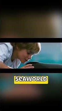 The Free Willy Reboot Has an Impossible Problem