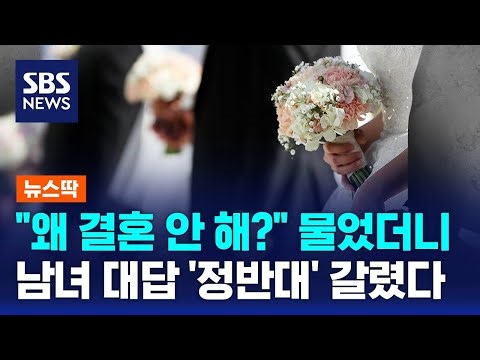 "왜 결혼 안 해?" 물었더니…남녀 대답 '정반대' 갈렸다 / SBS / 뉴스딱