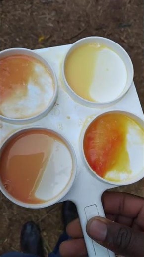 California Mastitis Test (CMT): Positive for mastitis || Dairy Management || Holstein Friesian Cows