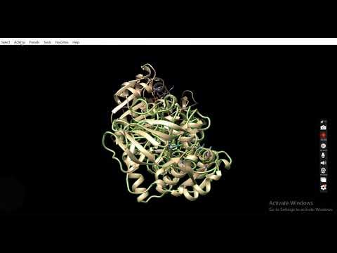 Basic training-Using Molecular Docking tools by my student Ms. Ayesha Zahid, drug development