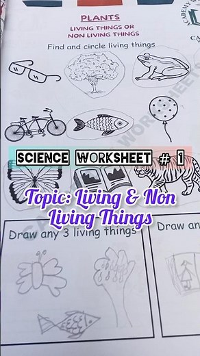 Living & Non Living Things | Science Worksheet # 1
