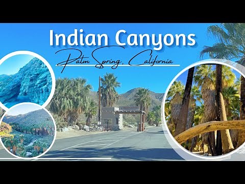 Indian Canyon Hiking Trails , Palm Spring, California | Best Hiking Trails in Palm Spring