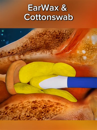 Enhancing Medical Education with 3D Visualization