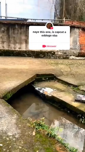 #question from @davidhansel256 #CapCut #fyp #tiktokugan#think4youdo #davidh#firegirl#nampijjaflorence#explore#more