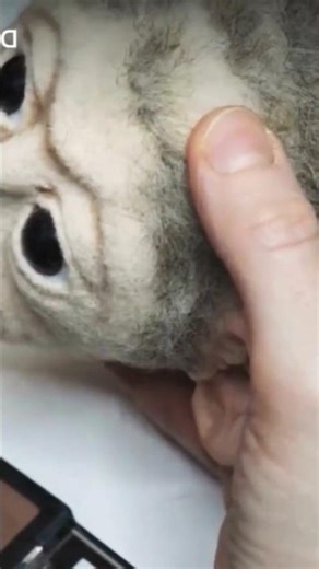 monkey|Cotton Monkey Face Craft | DIY with Needle & Cotton"#trendingart