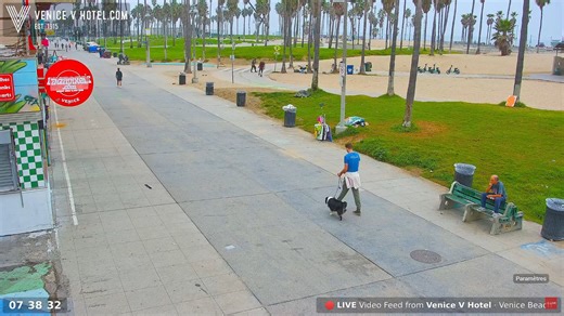 Webcam Los Angeles - Venice Beach – California, United States | live weather & timelapse