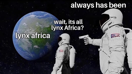 Lynx Africa | Know Your Meme