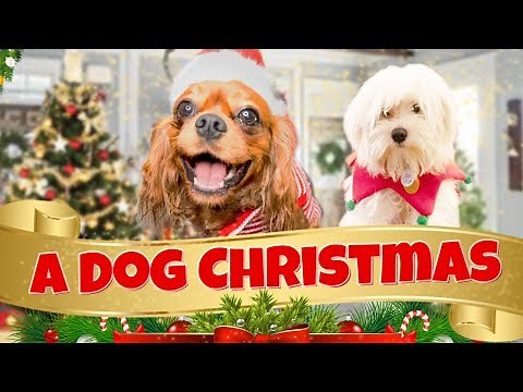 A Talking Dog Christmas