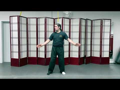 Tai Chi Five Elements